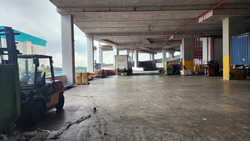 Pandan Avenue (D22), Warehouse #529138781